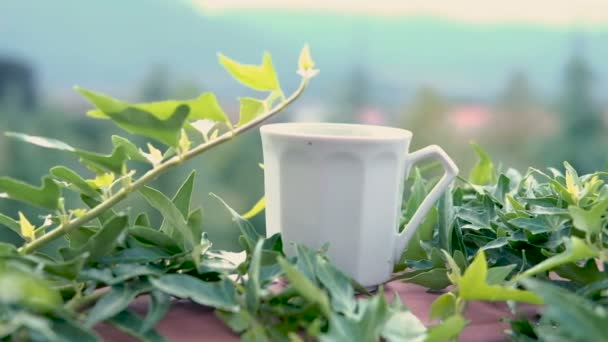 Kubek herbaty lub kawy na parze jest na poręczy z bluszcz pokryte balkon. Poranny drink z widokiem na góry. — Wideo stockowe