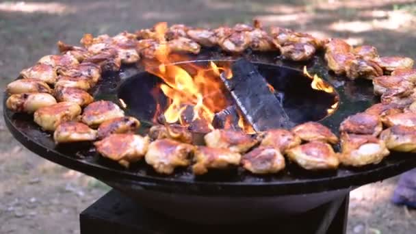 Runden Grill mit offenem Feuer im Inneren. Huhn oder Truthahn kochen für ein sommerliches Picknick. — Stockvideo