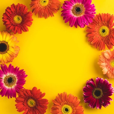 Güneşli sarı arka plan üzerinde parlak güzel gerbera çiçekleri. Sıcak yaz ve erken sonbahar kavramı. Metin, yazı veya ürün için yerleştirin. Yukarıdan görüntüle, Boşluk kopyala. Yassı lay.