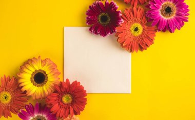 Parlak güzel gerbera çiçekler ve güneşli sarı arka plan üzerinde kağıt kart. Anneler Günü, Sevgililer Günü. Metin, yazı veya ürün için yerleştirin. Yukarıdan görüntüle, Boşluk kopyala. Yassı lay.