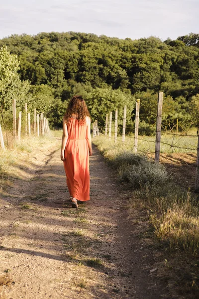 Beautiful young girl with dark curly hair in bright orange dress walks into the distance through forest or field at sunset. Romantic mood. Loneliness. — 图库照片