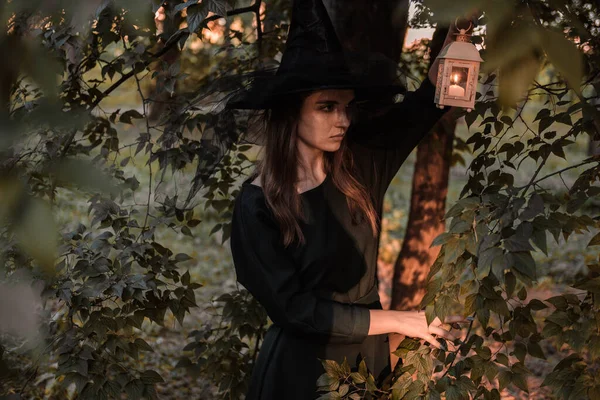 Young woman in dark dress and witchs hat holds lantern with candles in her hands and illuminates the forest. Halloween party costume. Park with autumn trees. — Stock Photo, Image