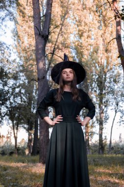Güz ormanlarının ya da parkın ortasında duran koyu renk elbiseli ve cadı şapkalı güzel bir kadın. Cadılar Bayramı partisi kostümü. Yakın plan portre. Yüzündeki gölge..