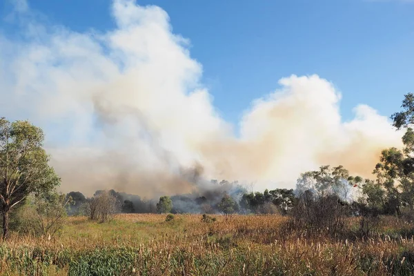 Bushland Важкий Дим Від Пожежі Приміському Районі Нокс Міста Мельбурні — стокове фото