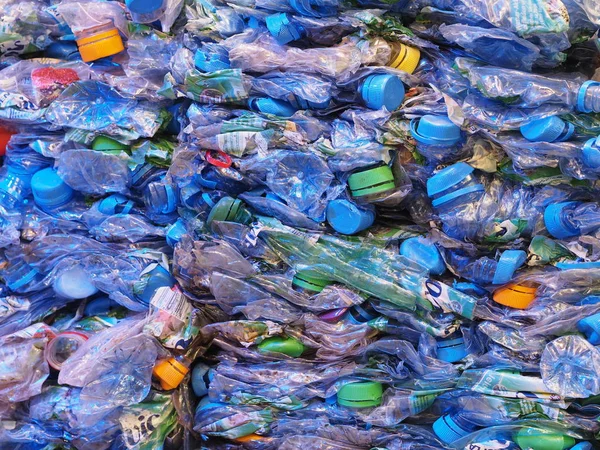 Nürnberg Deutschland November 2018 Zerkleinerte Plastikflaschen Für Das Recycling — Stockfoto