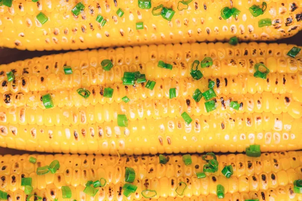 Grillezett Kukorica Csövek Gyógynövényekkel Közelről — Stock Fotó