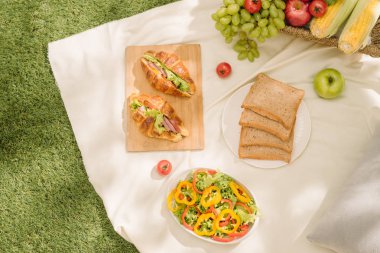 Bir piknik, yaz ve dinlenme kavramı. Etiketleme veya reklam için boş alan ile üstten görünüm