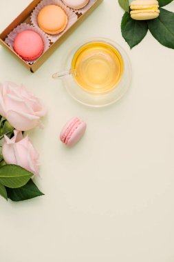 Renkli macaroons ve gül çiçekler açık yeşil çay ile. Tatlı macarons hediye kutusunda. Üstten görünüm