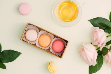 Renkli macaroons ve gül çiçekler açık yeşil çay ile. Tatlı macarons hediye kutusunda. Üstten görünüm