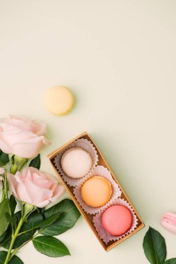 Renkli macaroons ve açık yeşil gül çiçekleri. Tatlı macarons hediye kutusunda. Üstten görünüm