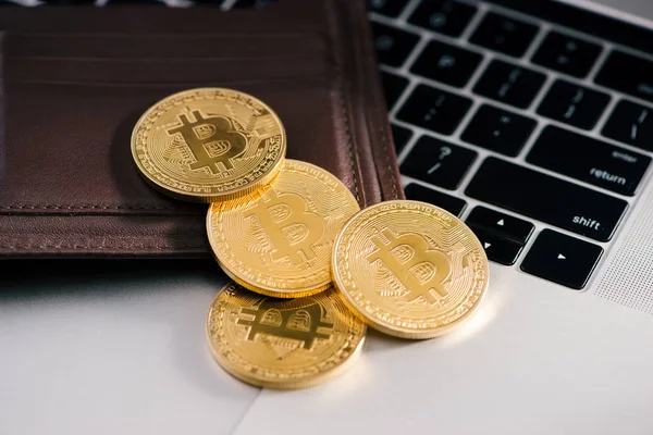 Sanal para cüzdanı. Bitcoin altın sikke. Cryptocurrency kavramı.