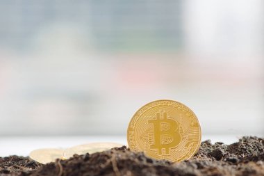 Altın Bitcoin kavramı madencilik, bitcoin toprak, yakın çekim