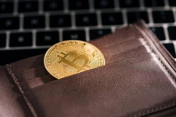 Виртуальный Кошелек Золотая Монета Биткойна Криптовалютная Концепция — стоковое фото