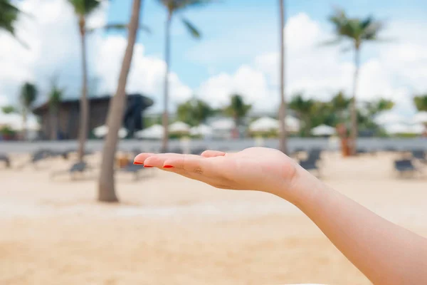 海を背景には 夏の休暇の概念に手のひらを持ちこたえてエレガントな女性の背面図 — ストック写真