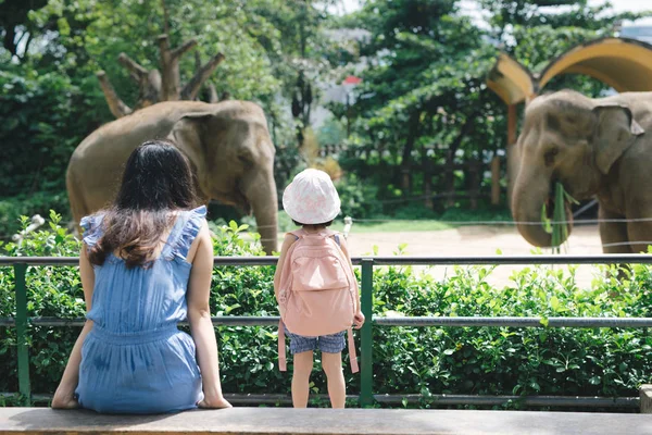 快乐的母亲和女儿在动物园里观看和喂养大象 — 图库照片