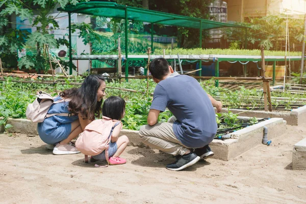 Mère Fille Engagées Dans Jardinage Ensemble — Photo