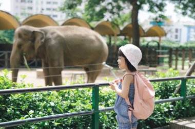 Children feed Asian elephants in tropical safari park during summer vacation. Kids watch animals clipart