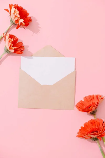 Cartão Saudação Branco Com Envelope Marrom Flor Gerbera Mesa Rosa — Fotografia de Stock