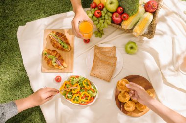 Kavramı bir piknik, yaz ve dinlenme. 