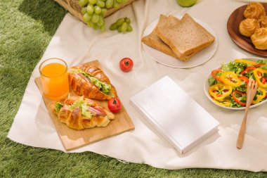 piknik sepeti meyve yaz parkta bir ekose üzerinde