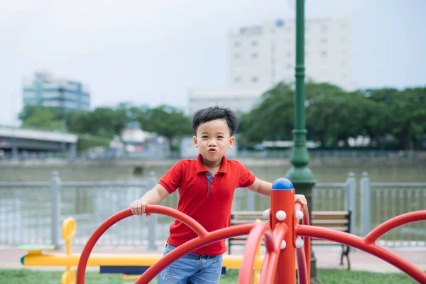 Little Asian Boy Riding Swing Rejoices — Stock Photo, Image