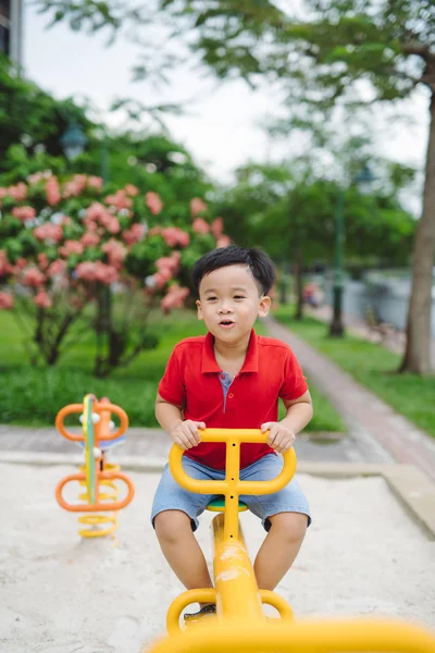 Tahterevalli üzerinde açık havada eğleniyor mutlu küçük çocuk