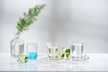 Laboratuvar deney ve araştırma yaprak, petrol ve madde ile doğal ve organik cilt bakım ürün için etiket, bio bilim kavramı için boş şişe ayıklayın. Alternatif Tıp. Spa.