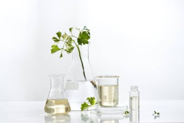 yaprak, ev yapımı petrol ve güzellik vitamini ingredient.organic ürün araştırma ile ambalaj boş şişe konteyner, bio bilim doğal kozmetik cilt bakım serumu. Alternatif Tıp. Spa.