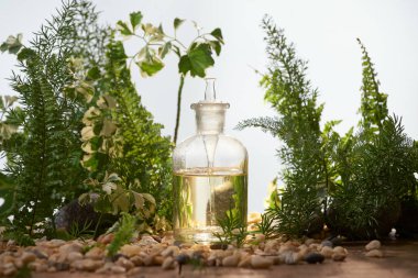 Doğal organik botanik ve bilimsel Züccaciye Mağazaları, alternatif bitki tıp, Doğal Cilt Bakımı güzellik ürünleri, araştırma ve geliştirme kavramı.