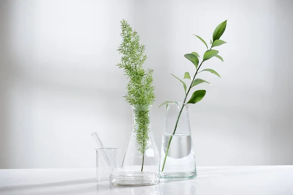 cam şişe ve şişe su biyoteknoloji bilim laboratuvar arka planda doğal yeşil izni ile temizleyin