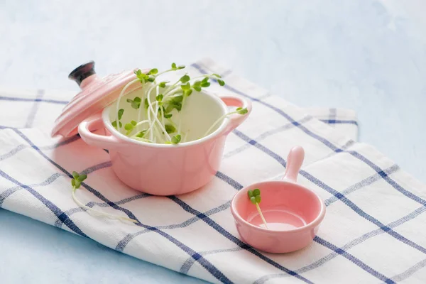 Produto Jardim Fresco Cultivado Organicamente Símbolo Saúde Vitaminas Microgreens Prontos — Fotografia de Stock