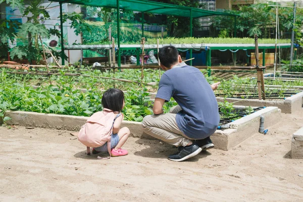 父亲和他的小女儿走在绿色花园里 — 图库照片