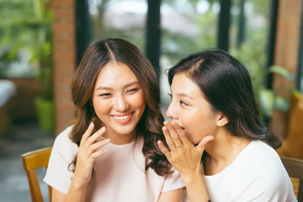 Two happy roommates talking, sitting in the living room in a house interior