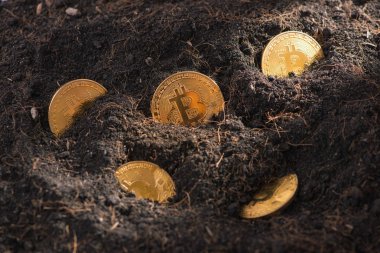 Kara toprak, araştırma kavramı üzerinde altın Bitcoins 