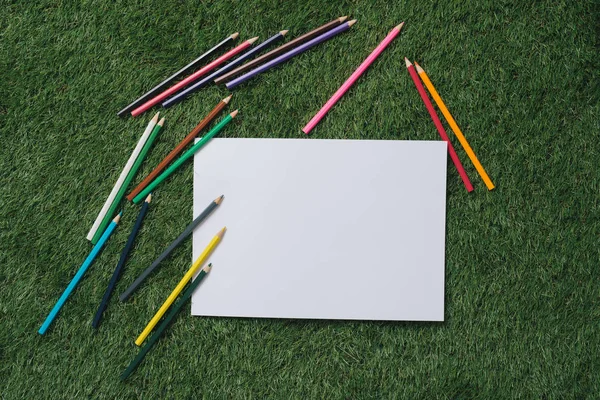 White sheet of paper with pencils on green grass