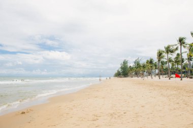 Güzel sahil. Etrafta palmiyeler olan güzel tropikal plaj manzarası. Tatil ve tatil konsepti. Tropik plaj.
