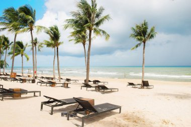 Güzel doğa tropikal plaj ve sandalye ve Hindistan cevizi hurma ağacı için cennet adasında denize sıfır tatil seyahat