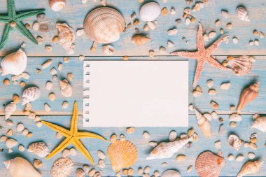 Kabukları ve starfishes mavi ahşap zemin üzerinde. Metniniz için kopya alanı.