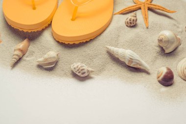 Deniz ve deniz yıldızı beyaz zemin üzerinde. Metniniz için kopya alanı.