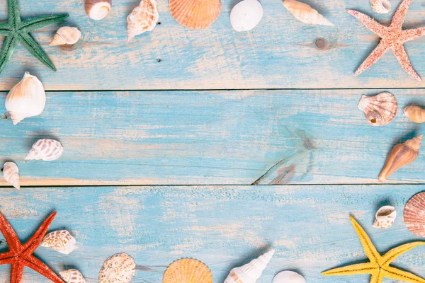 Muscheln Und Seesterne Auf Blauem Holzgrund Kopierraum Für Ihren Text — Stockfoto
