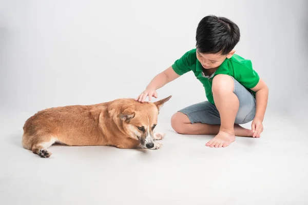 Cute little boy with dog on white background