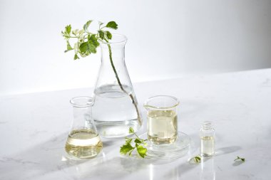 yaprak, ev yapımı petrol ve güzellik vitamini ingredient.organic ürün araştırma ile ambalaj boş şişe konteyner, bio bilim doğal kozmetik cilt bakım serumu. Alternatif Tıp. Spa.