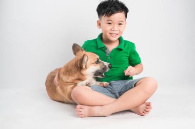 Eğleniyor Galce corgi köpek ile stüdyoda yerdeki küçük neşeli bir çocuk portresi. 