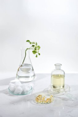 Alternatif bitki ilacı. Beyaz arka planda bitkisel vitamin.