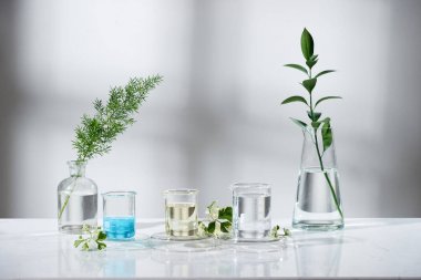 Laboratuvar deney ve araştırma yaprak, petrol ve madde ile doğal ve organik cilt bakım ürün için etiket, bio bilim kavramı için boş şişe ayıklayın. Alternatif Tıp. Spa.