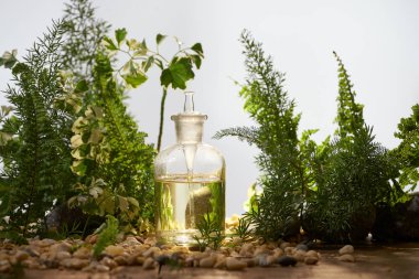 Doğal organik botanik ve bilimsel Züccaciye Mağazaları, alternatif bitki tıp, Doğal Cilt Bakımı güzellik ürünleri, araştırma ve geliştirme kavramı.