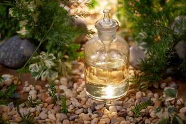 Bilim adamı doğal ilaç araştırma, doğal organik botanik ve bilimsel Züccaciye Mağazaları, alternatif yeşil ot tıp, Doğal Cilt Bakımı güzellik ürünleri, araştırma ve geliştirme kavramı ile.