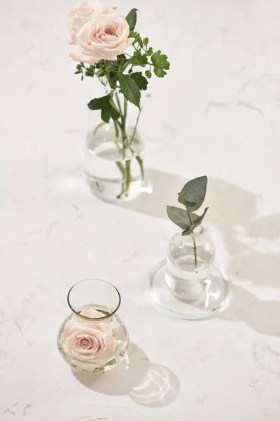 Piękne Różowe Kwiaty Wazonie Różowym Tle Kartkę Życzeniami Dla Odzież — Zdjęcie stockowe