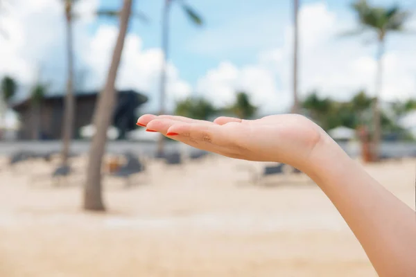 海を背景には 夏の休暇の概念に手のひらを持ちこたえてエレガントな女性の背面図 — ストック写真