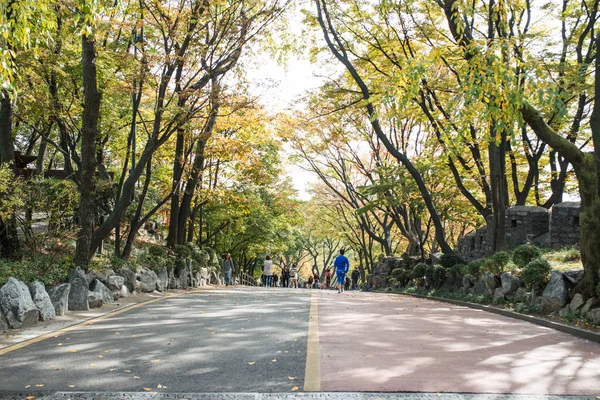 韩国首尔 2016年10月26日 韩国的秋枫树山 — 图库照片